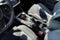 2023 Subaru WRX Limited